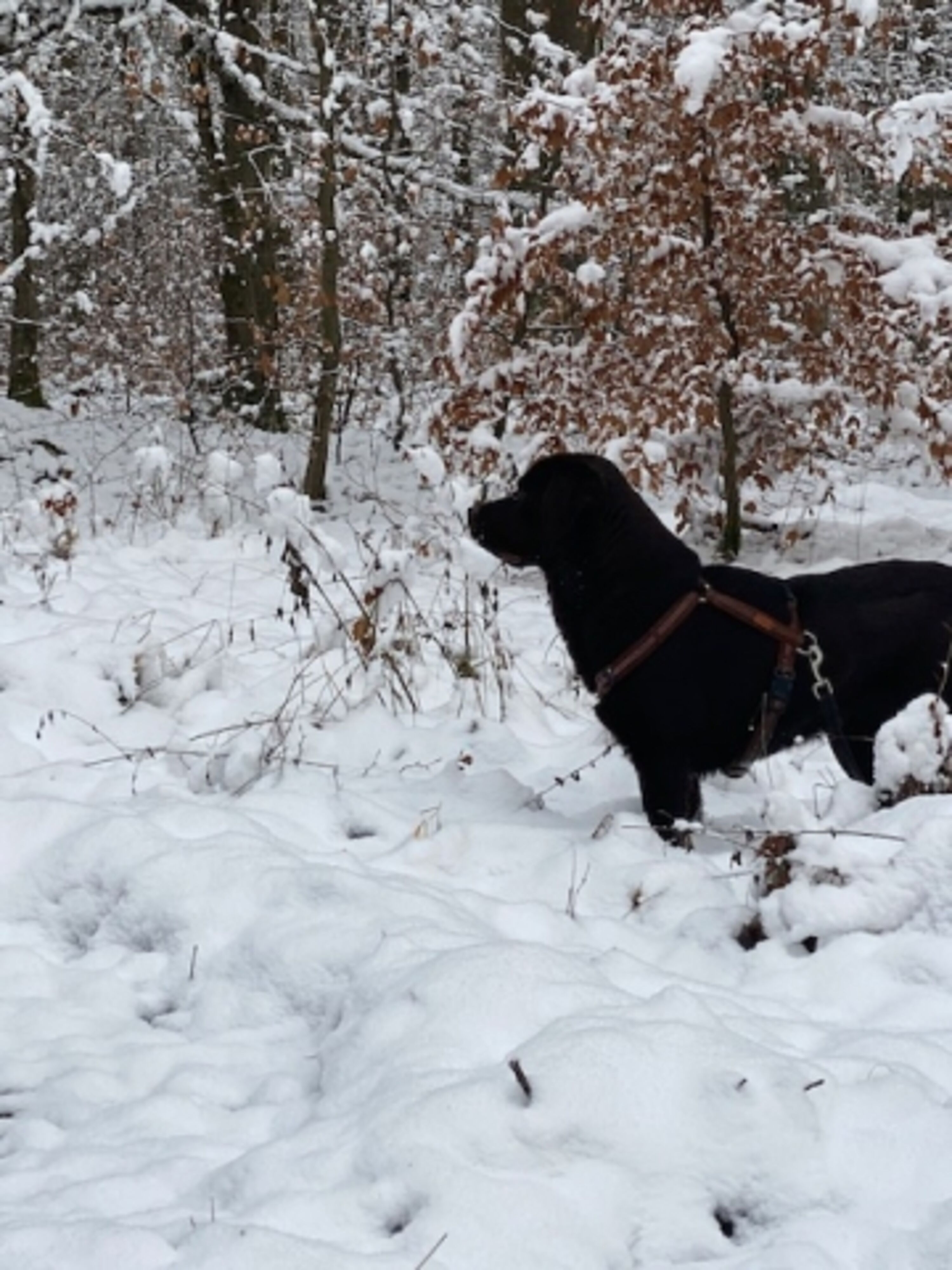Winderwandern