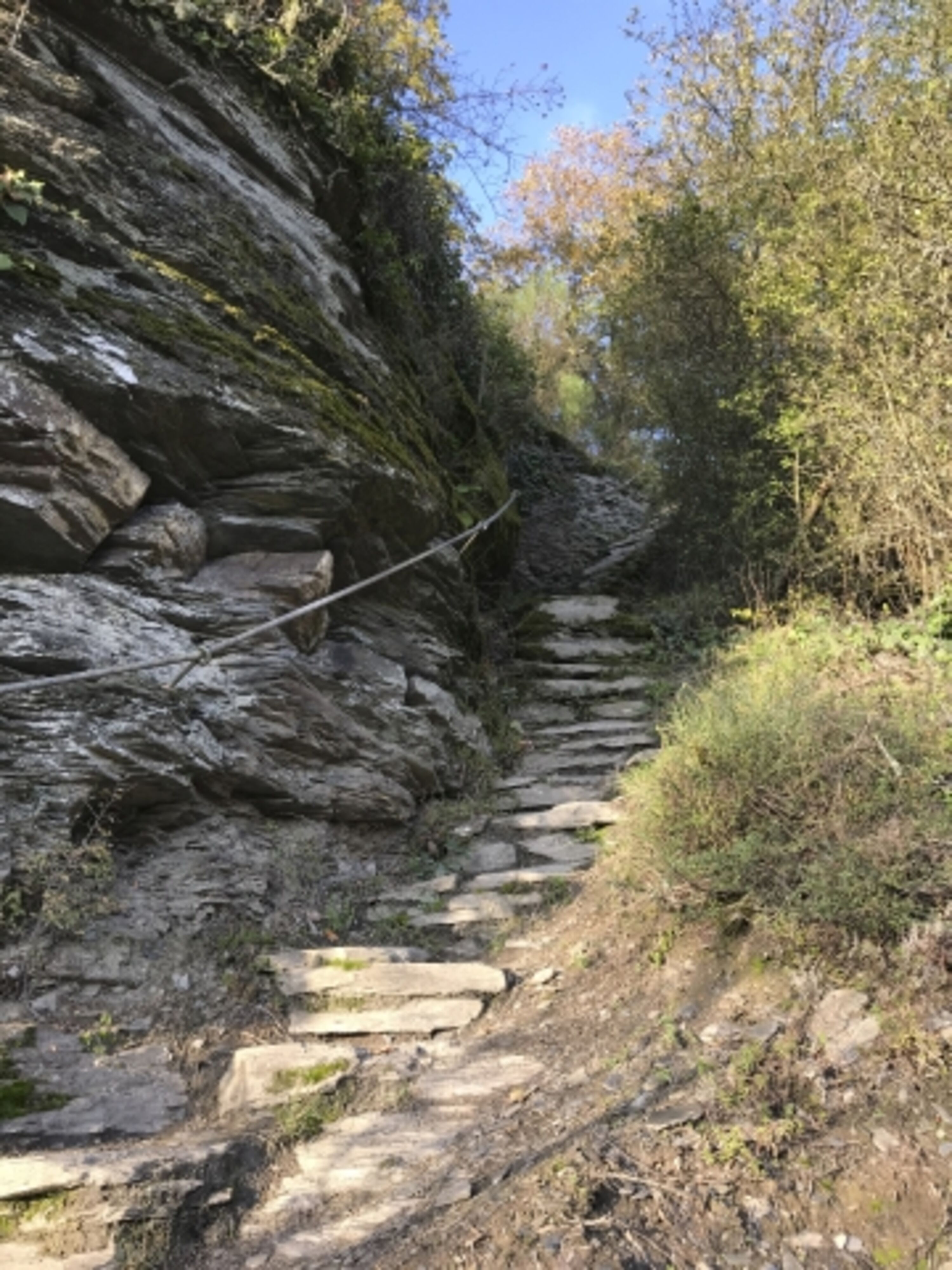 Wanderwege Mosel