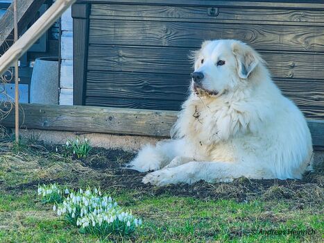 Er hat sich einen Lieblingsplatz erschaffen...