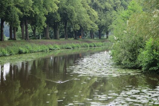 Viele Wasserläufe zum Radeln und Spazieren