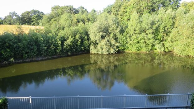 OG: Blick von Galerie auf kleinen See am Haus