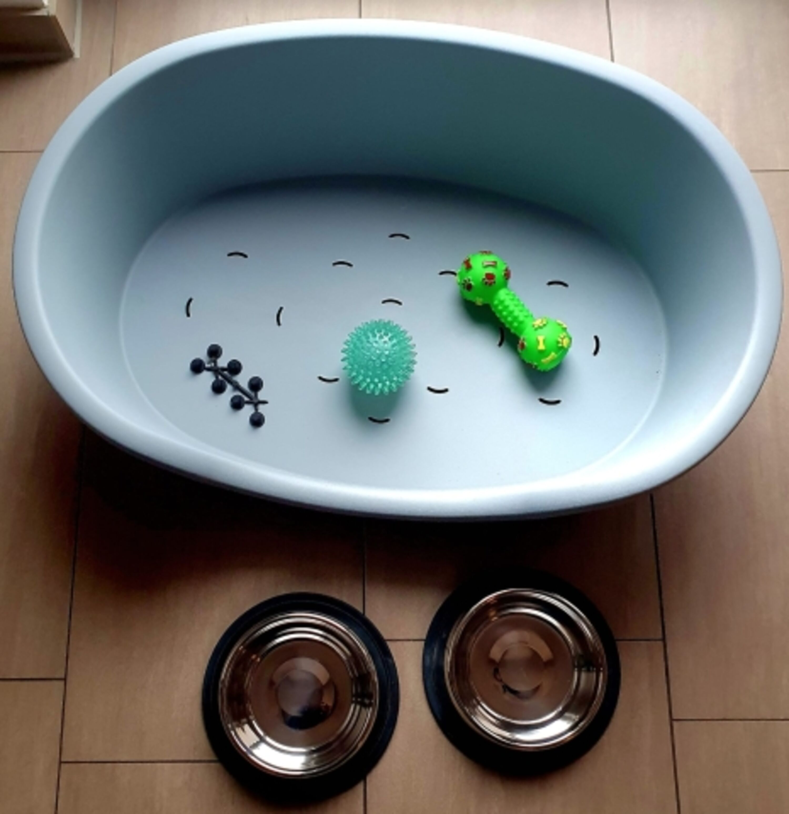 Für den Hund