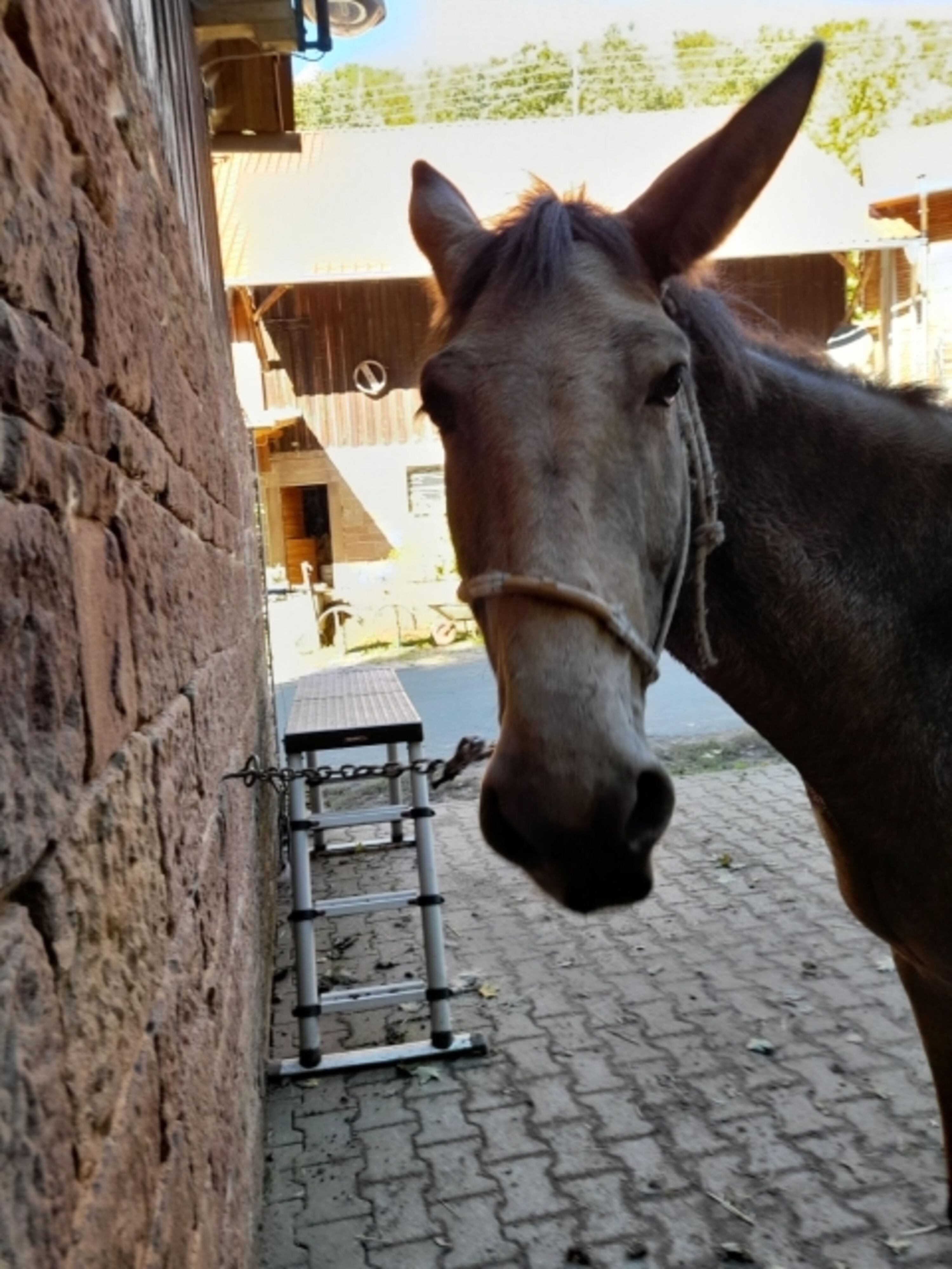 Bild 8