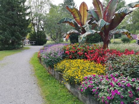 Kurpark 300 m vom Haus entfernt