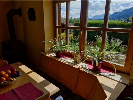 Essecke am Kamin im Wohnzimmer mit Bergblick