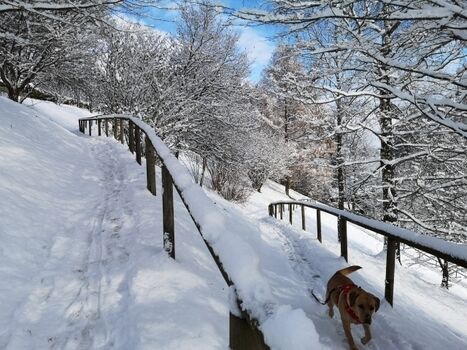 Spazierweg 100 m vom Haus