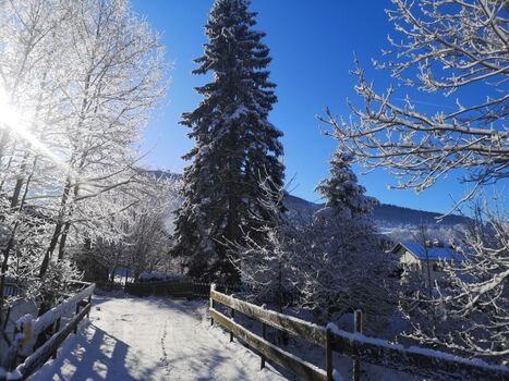 Spazierweg 100 m vom Haus