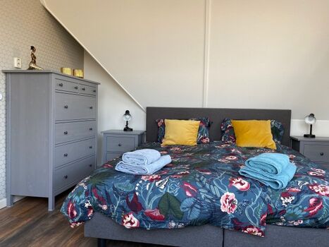 SZ1 mit Panoramablick auf Ijsselmeer, Smart-TV