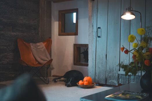 Exklusiver Landurlaub mit Stallblick – ein Erlebnis für Groß, Klein und Vierbeiner