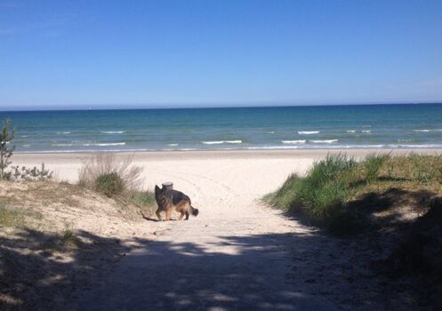 Glower Strandimpressionen