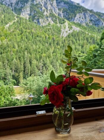 Aussicht vom Schlafzimmer