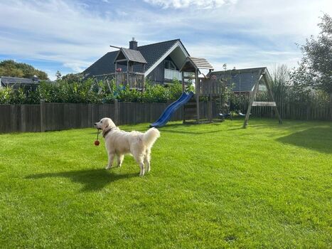 Hundesicherer Garten