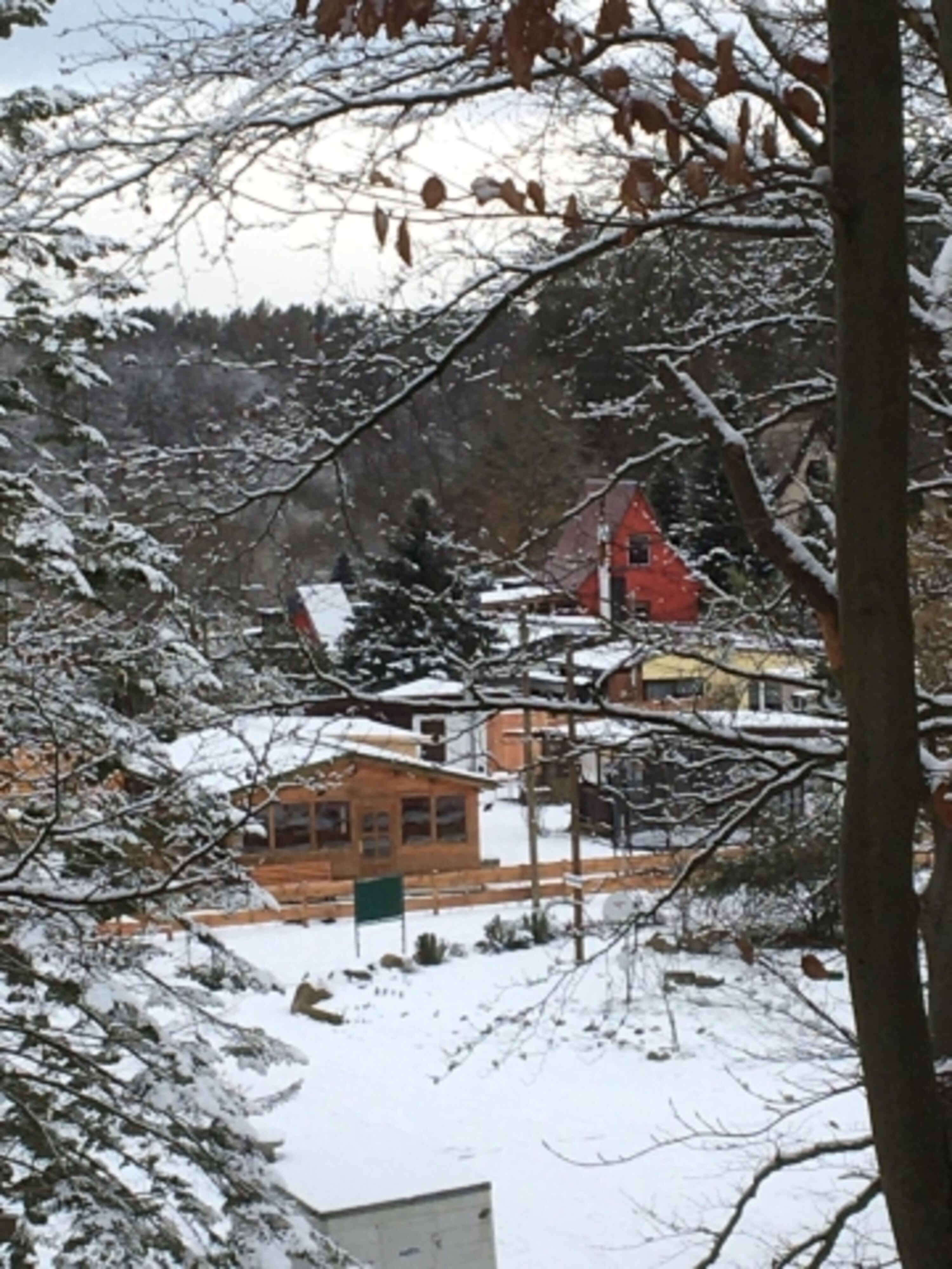 Neumühle im Winter