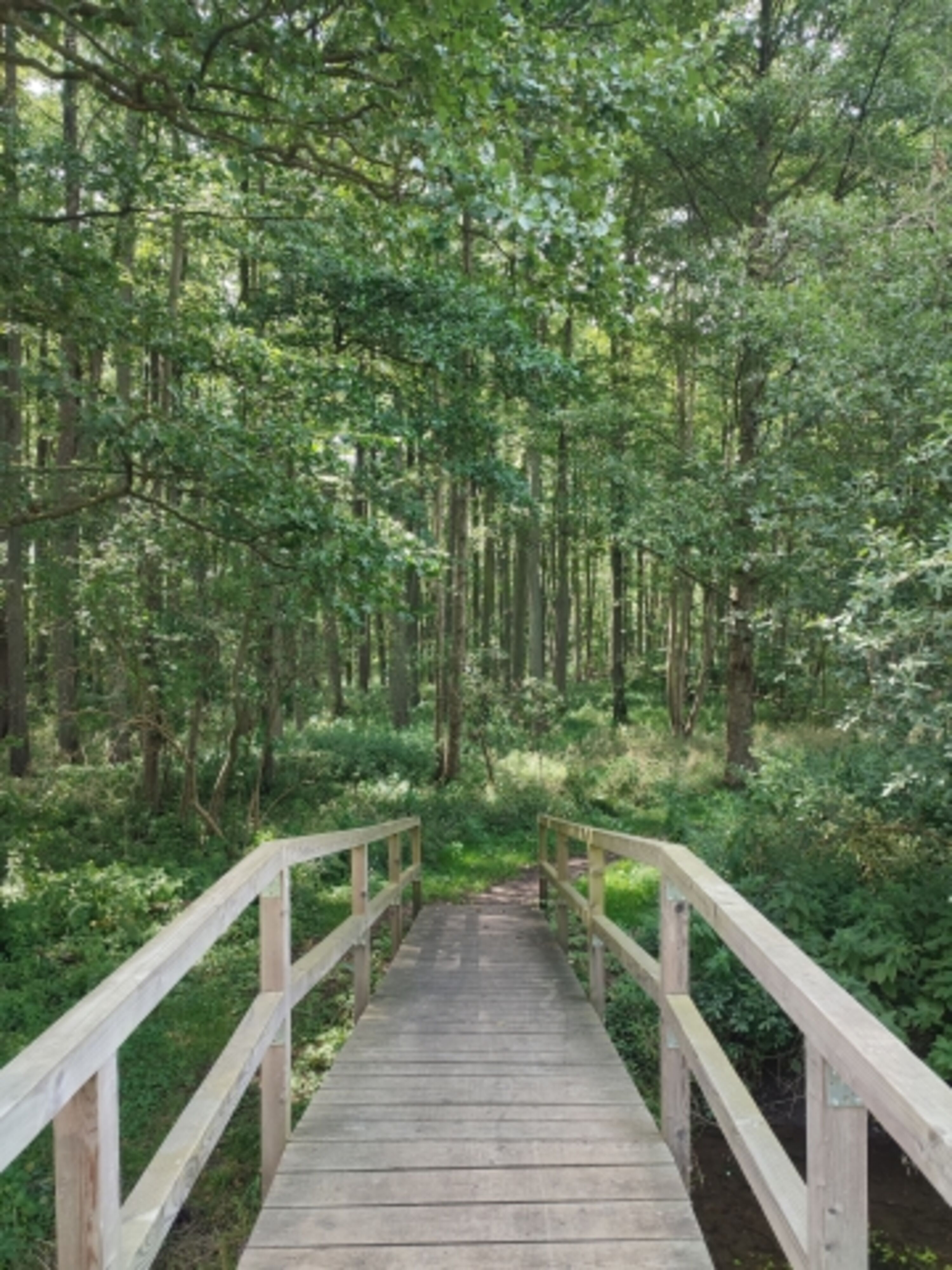 Brücke am Wanderweg Neuklostersee