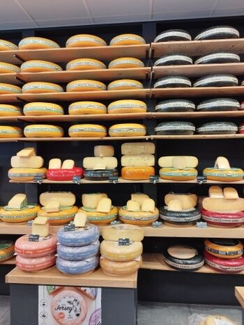 Alles Käse ... Alkmaar, Edam ...