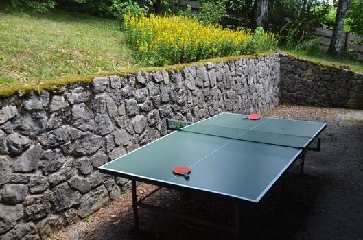Tischtennis im Garten