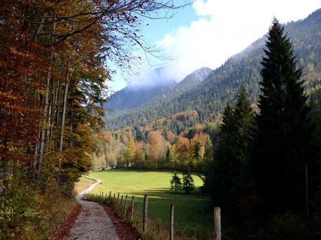 Wanderweg in der Umgebung