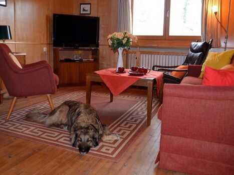 Wohnzimmer mit Fernseher, Erdgeschoß