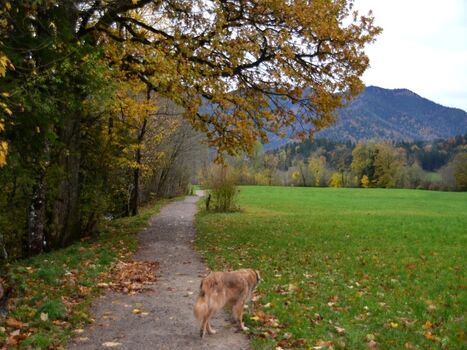 Spaziergang an  derLeitzach