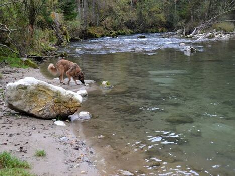 Wandern an der Leitzach