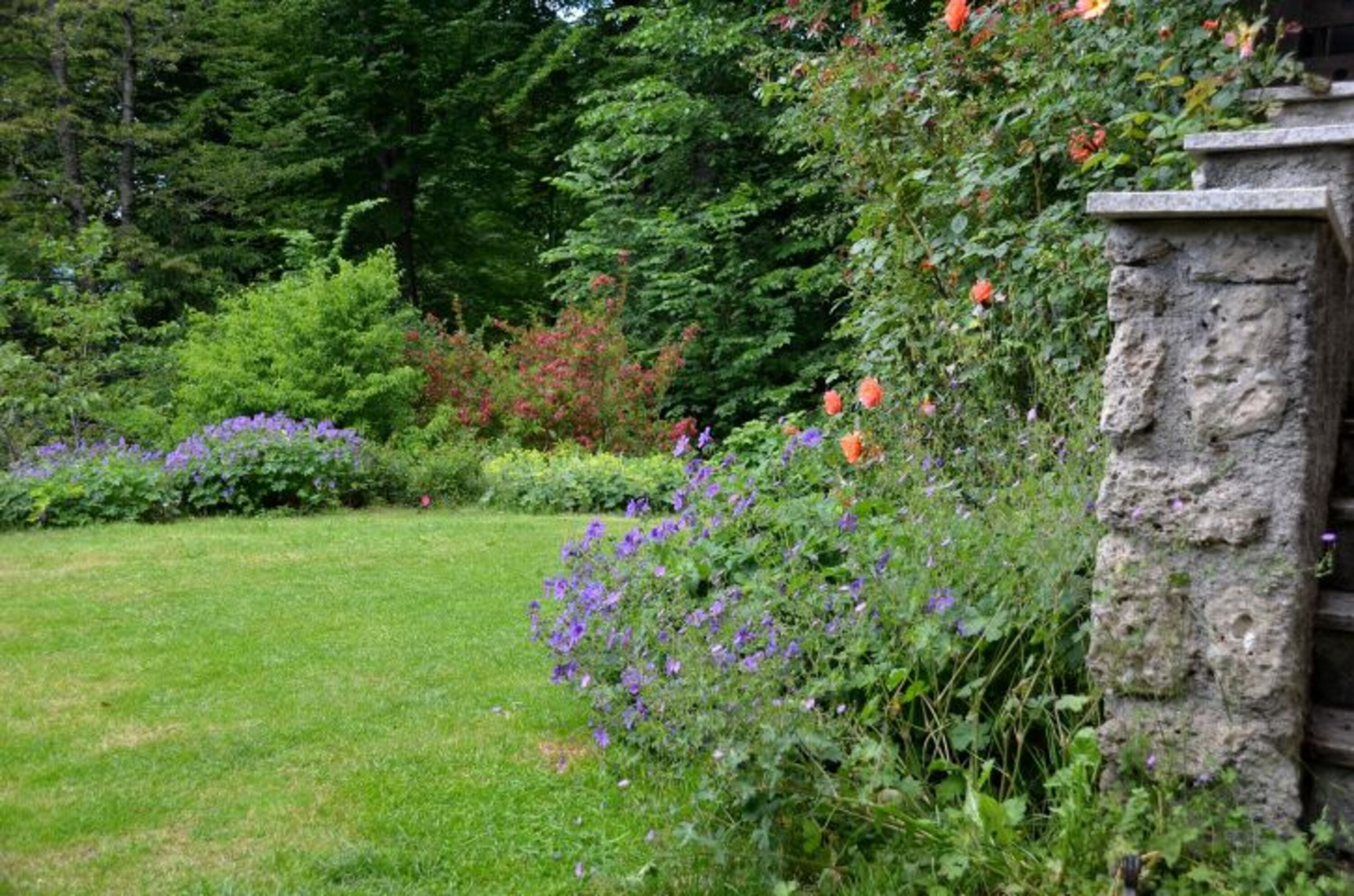 Garten am Haus