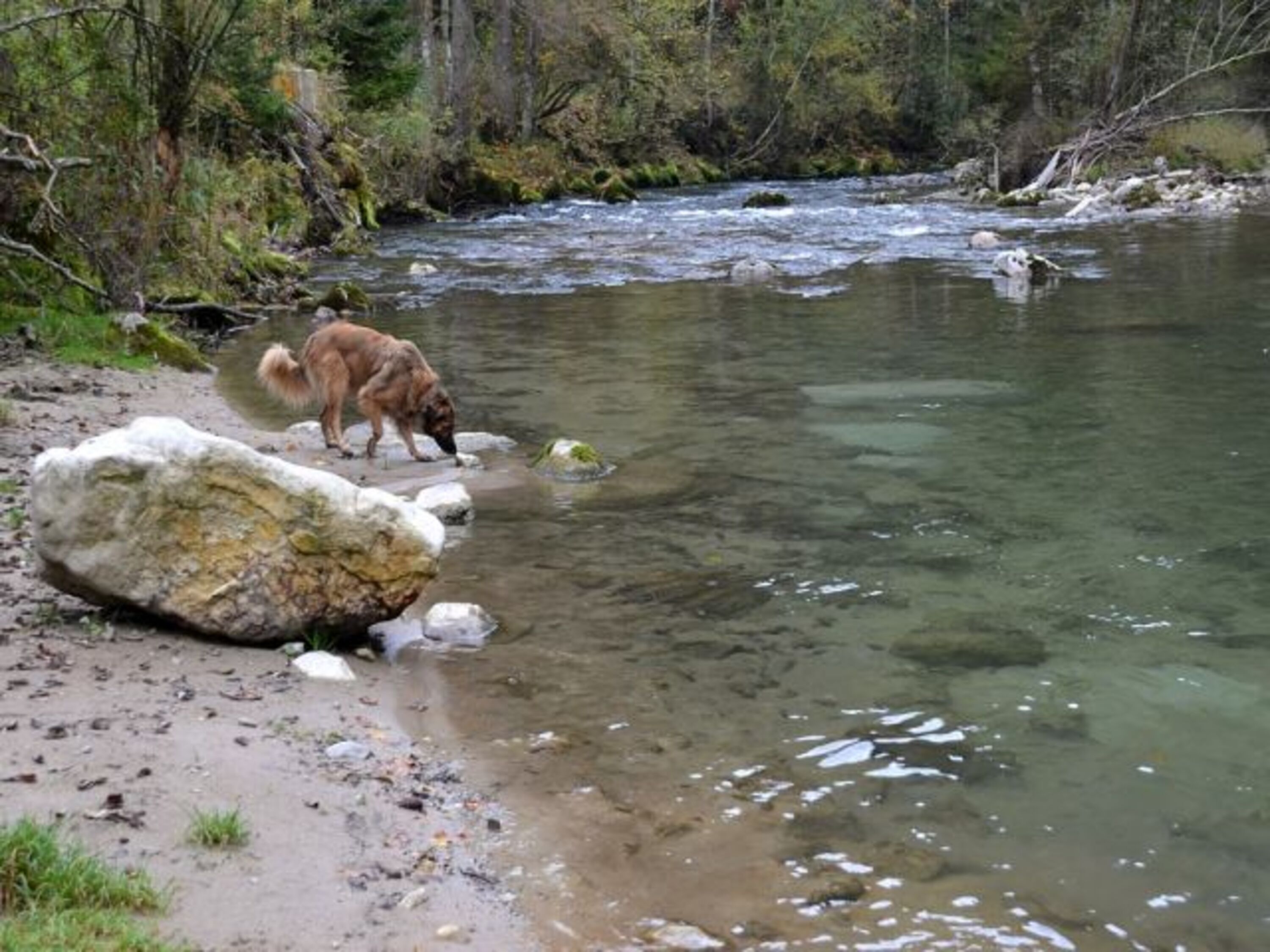 Wandern an der Leitzach