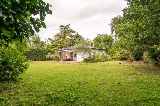 Der große, sonnige Garten