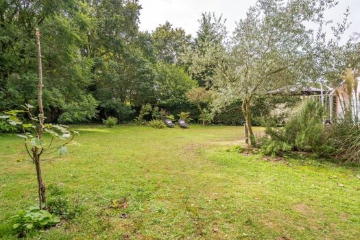 Der große, eingezäunte Garten (1000 qm!)