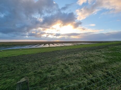 Ausblick vom Deich vor der Haustür