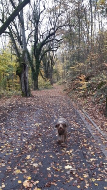 Unterwegs_ in_der_ Fränkischen