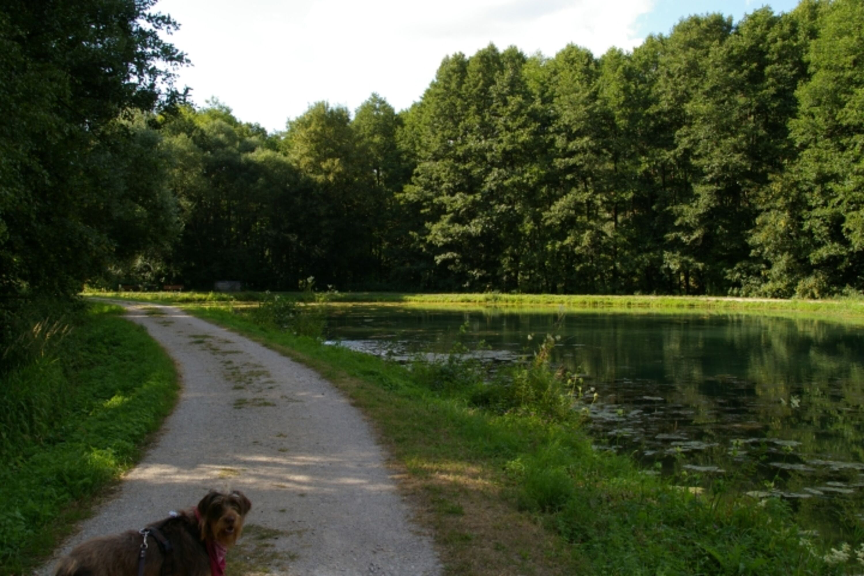 Kleine_Runde