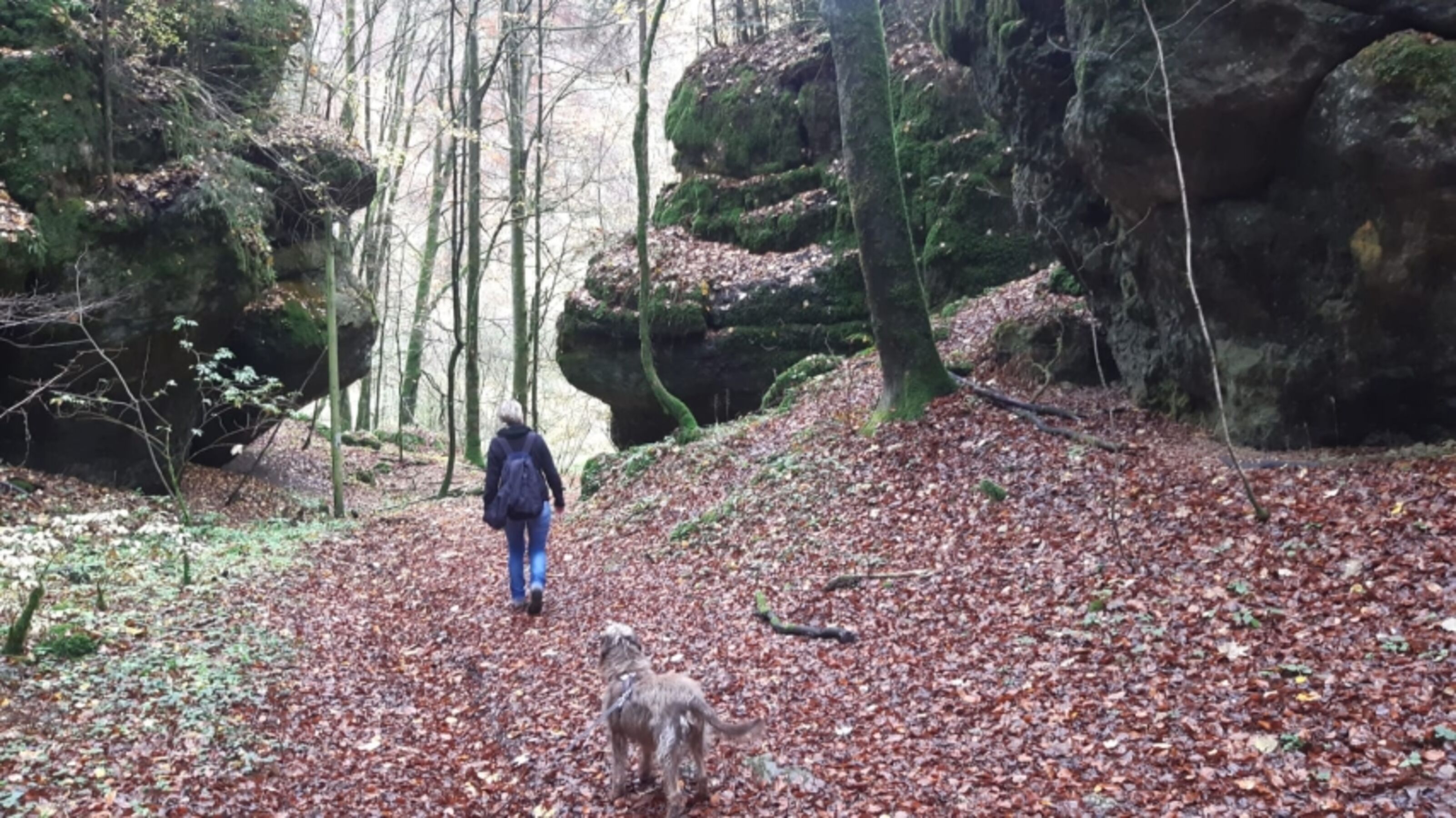 Herbstwanderung