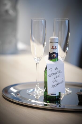 Willkommen in der Villa Silbermöwe