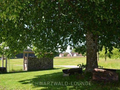 Ausblick von Terrasse aus