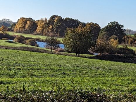 Golfplatz in Göhren-Lebbin