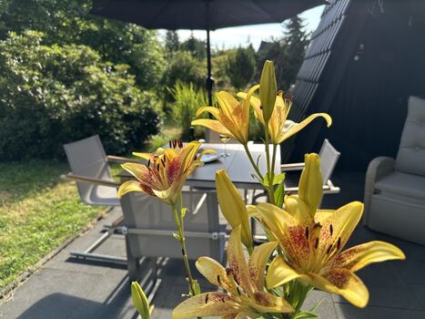 auf der ruhigen Terrasse am Ferienhaus