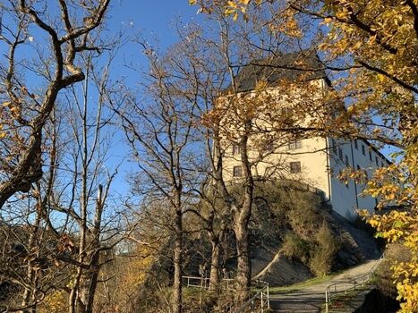 Shttps://login.fewo-touristik.de/images/objekte/1731622148_7906.jpg?t=1731622231chloss Burgk