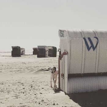 TIDE4 Amrum Strand Nebel