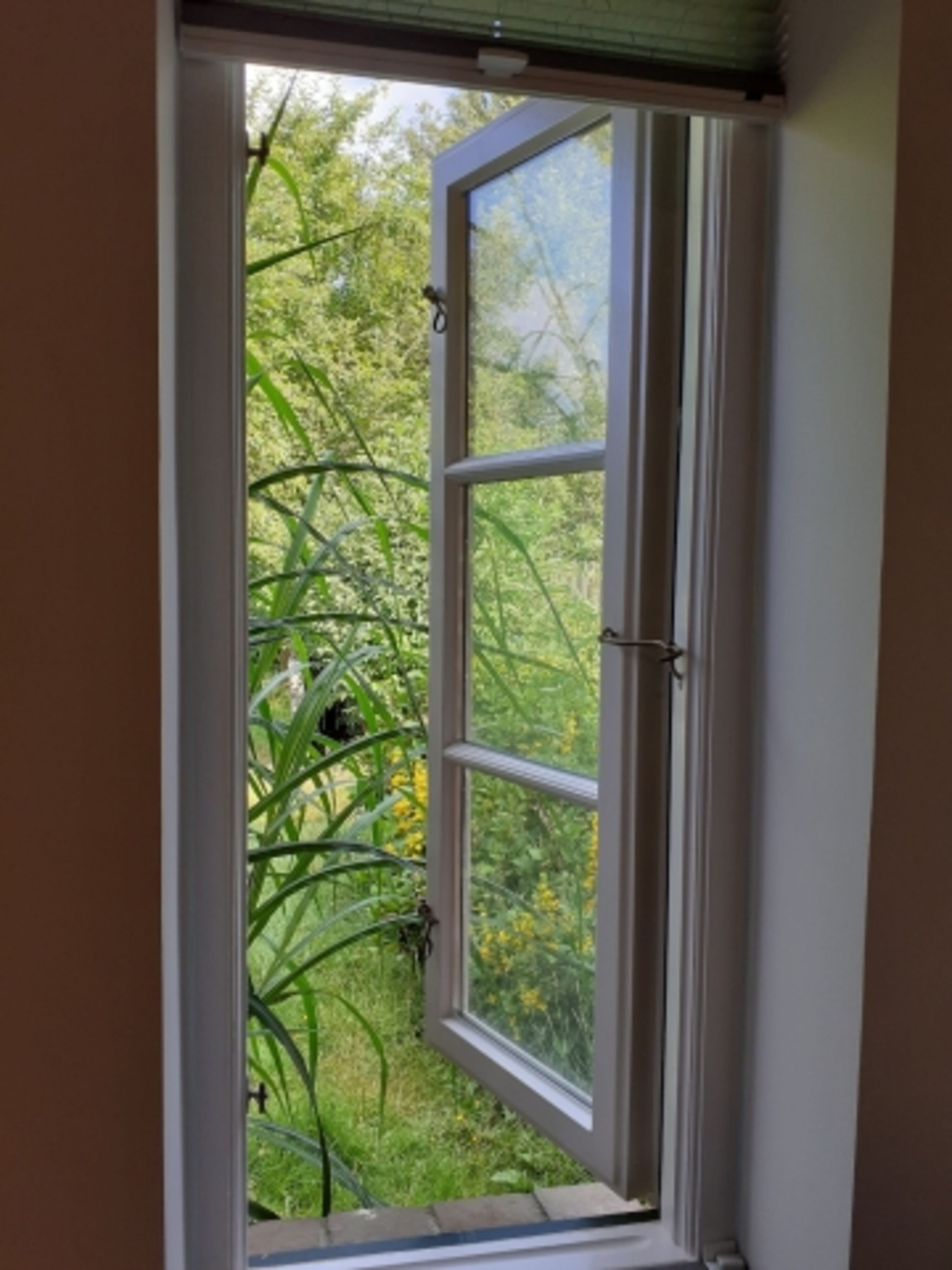 Blick aus dem Bad