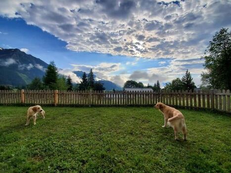 eingezäunte Terrasse