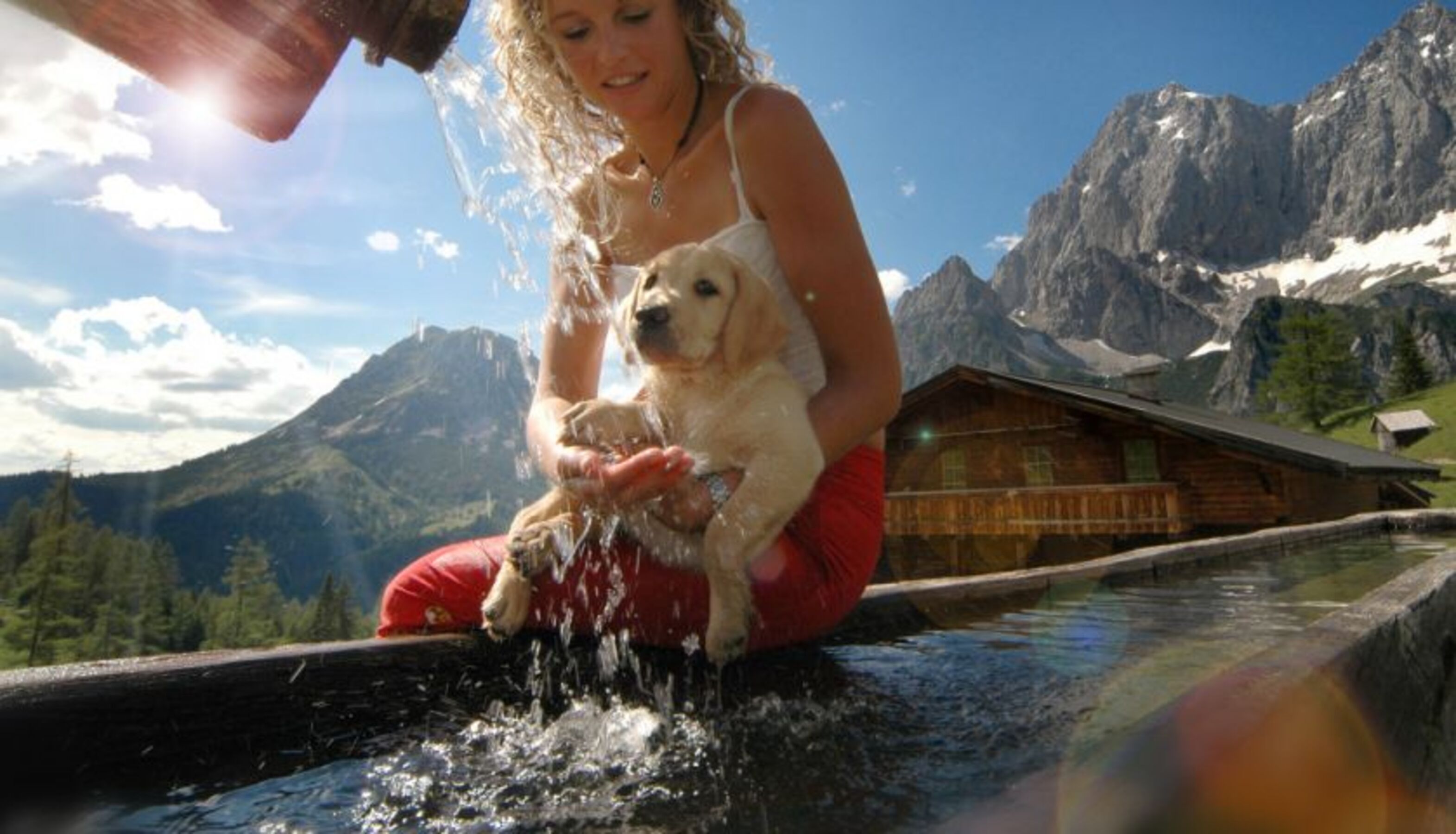 Hunde sind willkommen