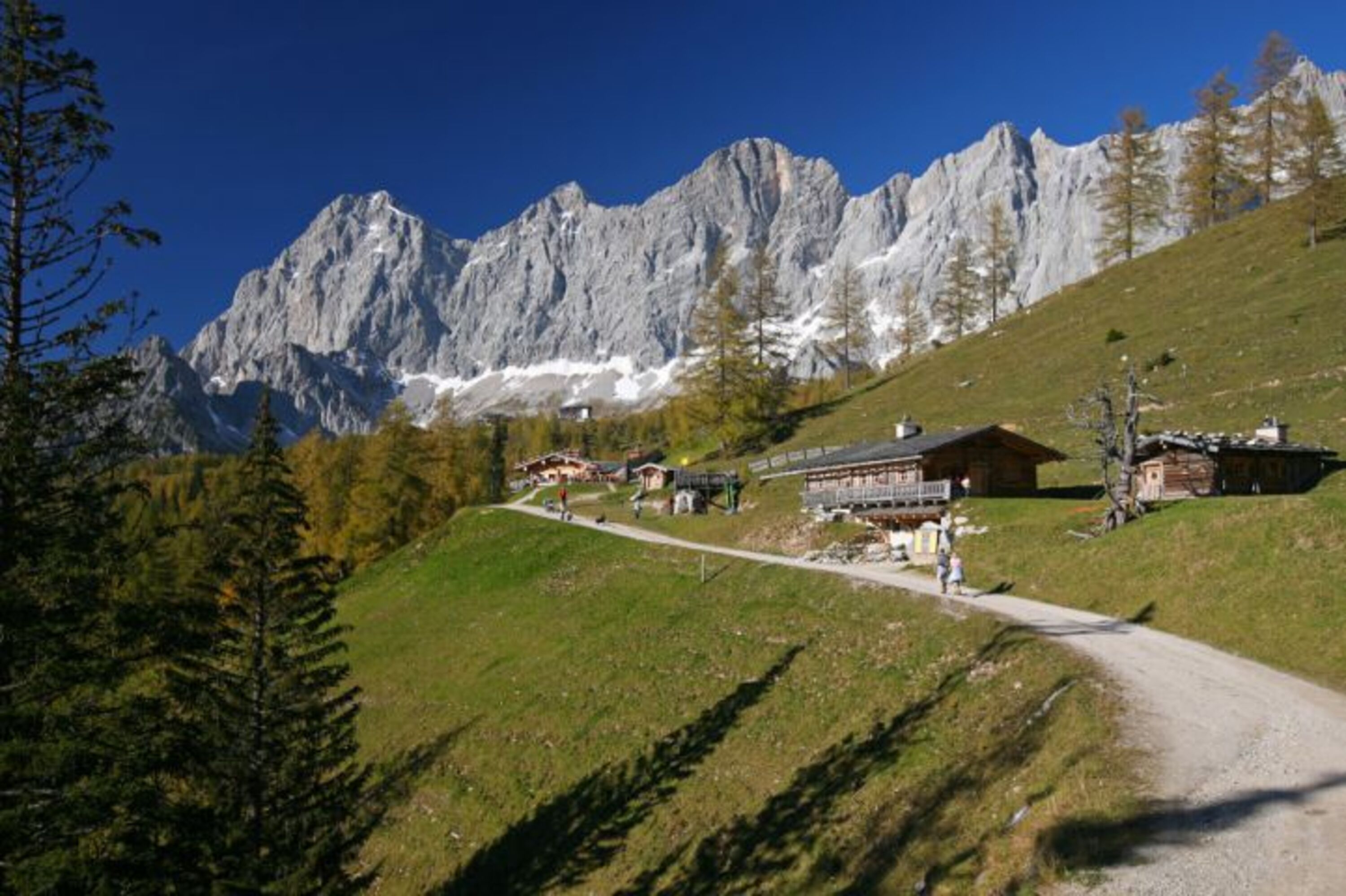Almengebiet in Ramsau am Dachstein