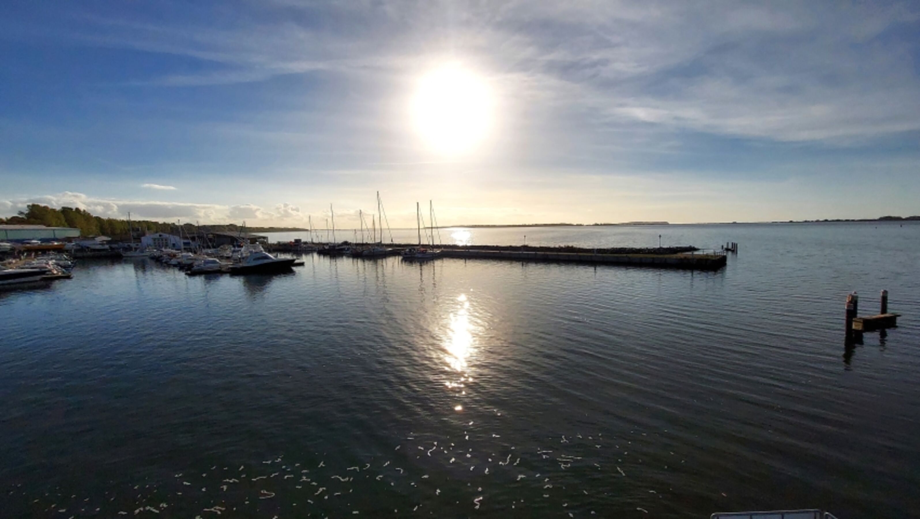 Hafen