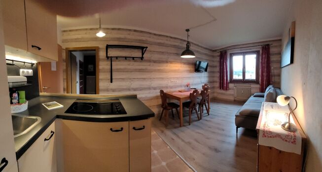 Wohnraum mit Küchenzeile