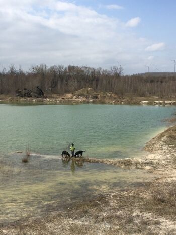 Spaziergang mit dem Hund