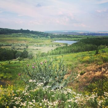 Spazierwege im Umland