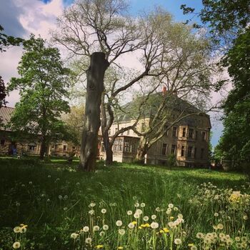 Parkanlage im Frühling