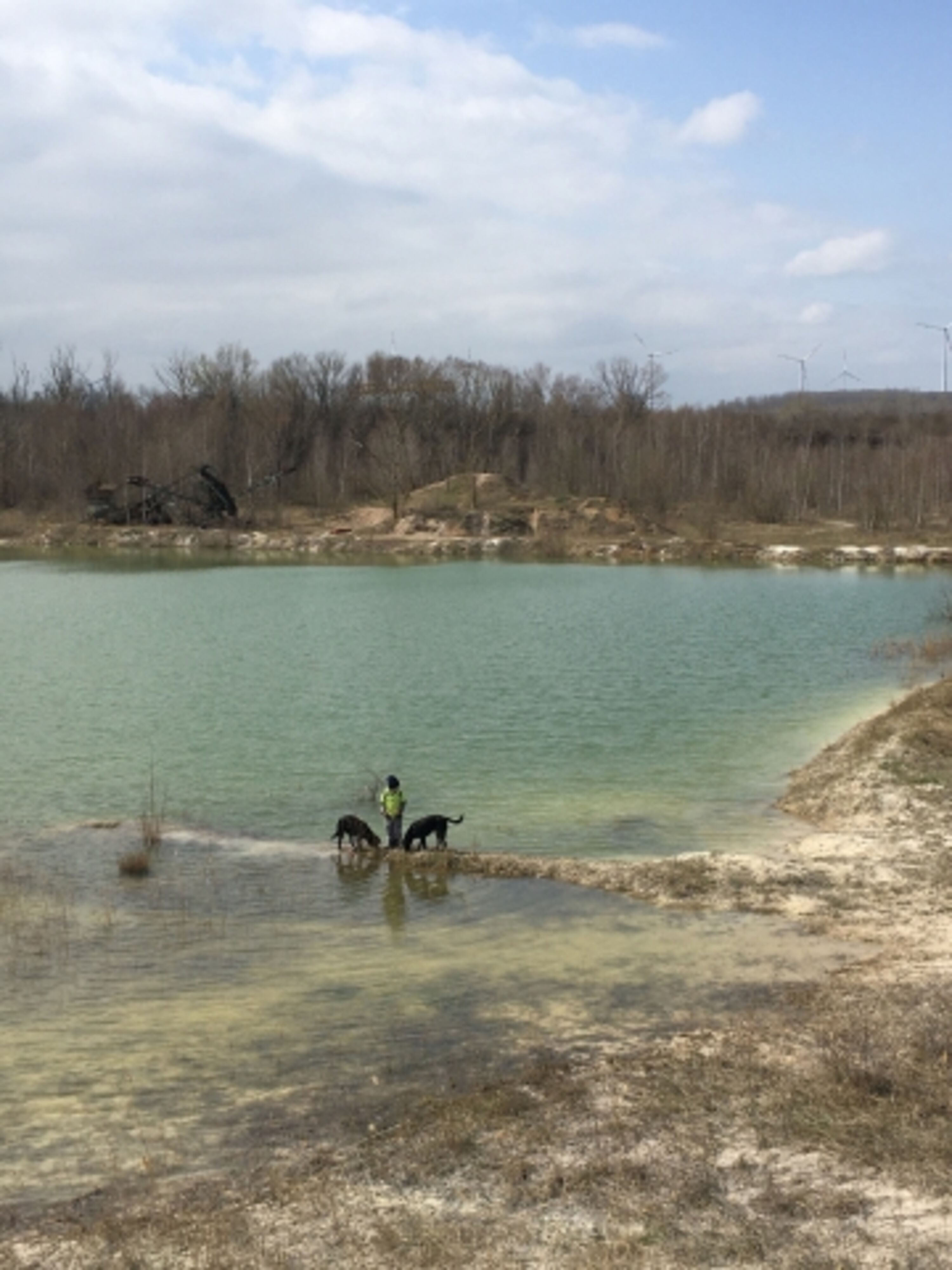 Spazierganz mit den Hunden am See