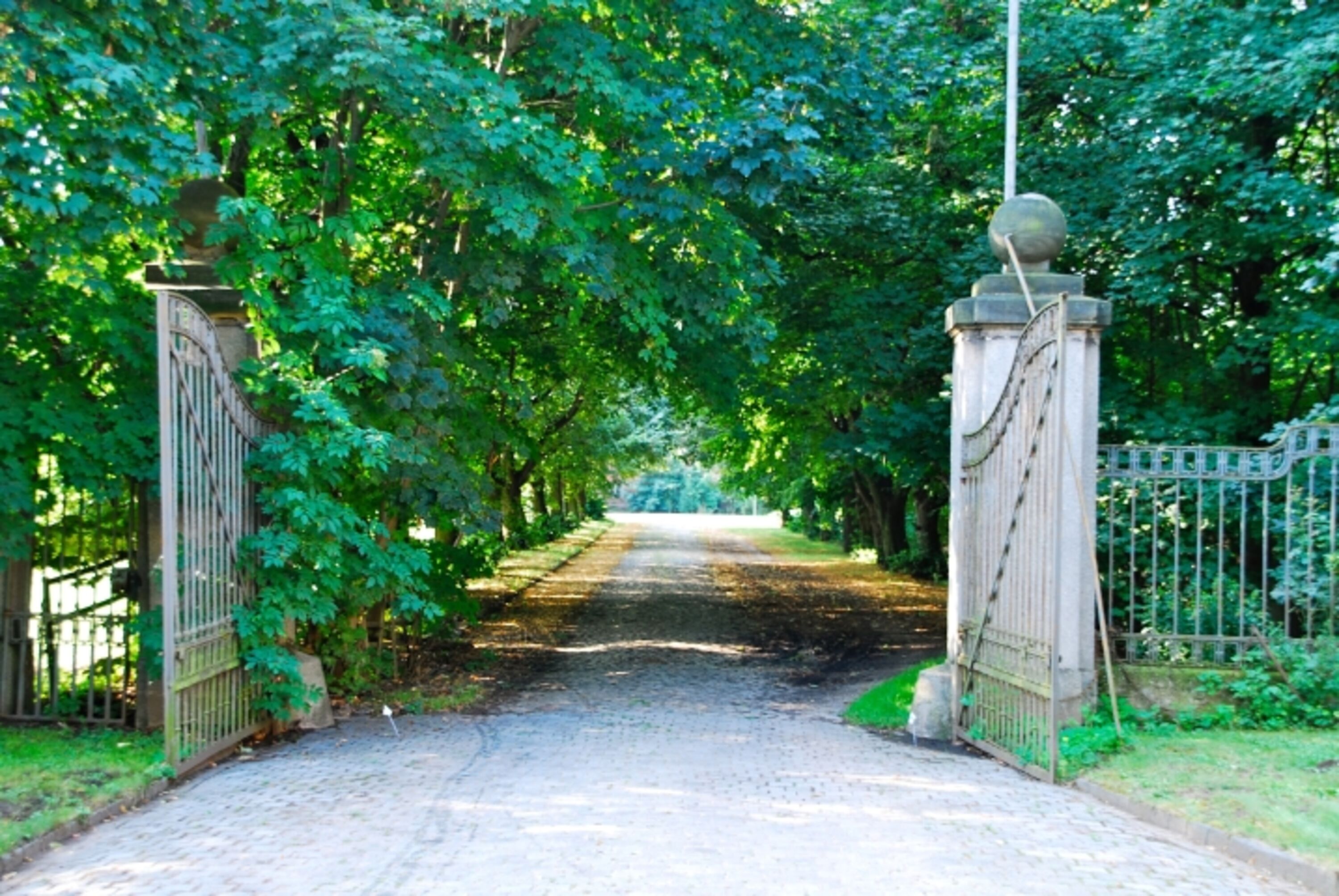 Einfahrt durch Allee