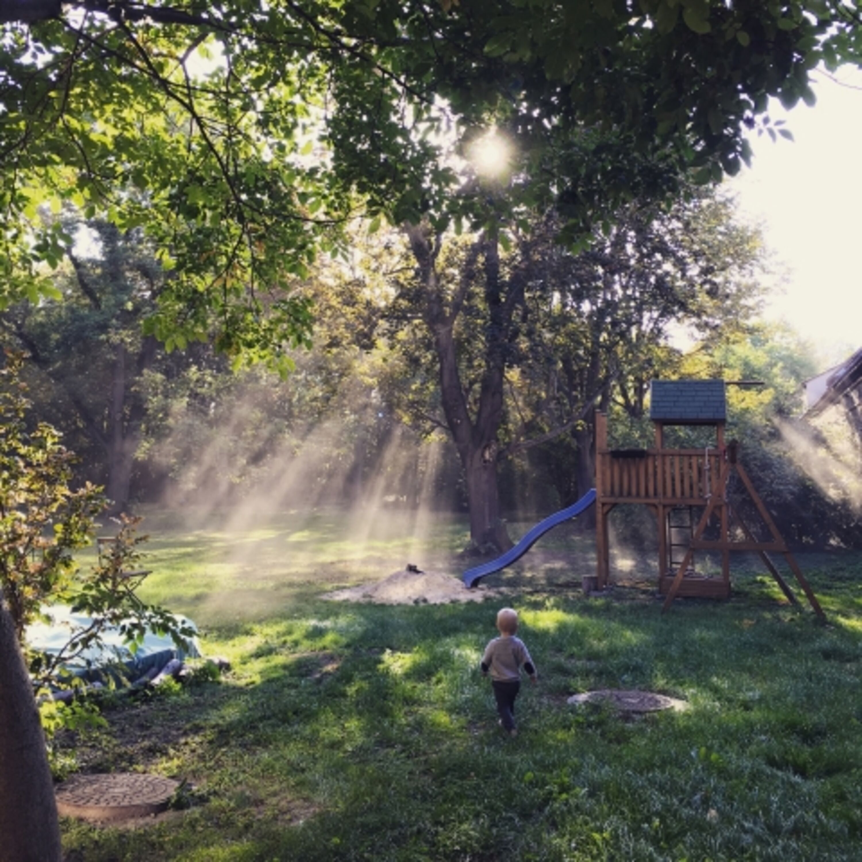 Klettergerüst Park